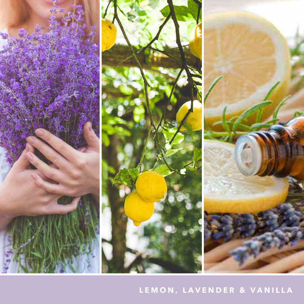 Lemon Lavender22oz 𝗬𝗮𝗻𝗸𝗲𝗲 𝗖𝗮𝗻𝗱𝗹𝗲 𝗢𝗻𝗹𝗶𝗻𝗲 𝘀𝗵𝗼𝗽