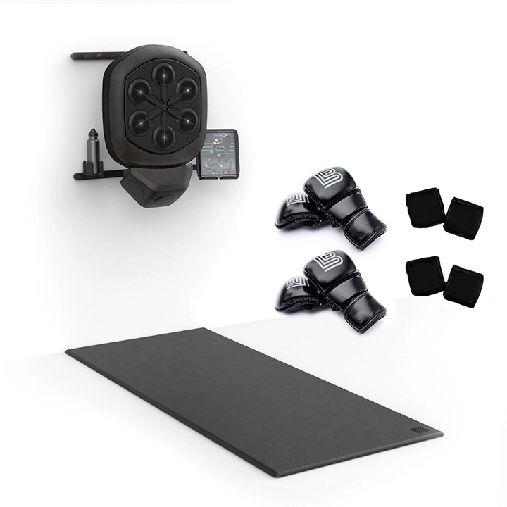 Wall Mounted Boxing Workout GAHIETT COM